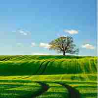 最﻿新‌技​术​教‍程​平​台﻿